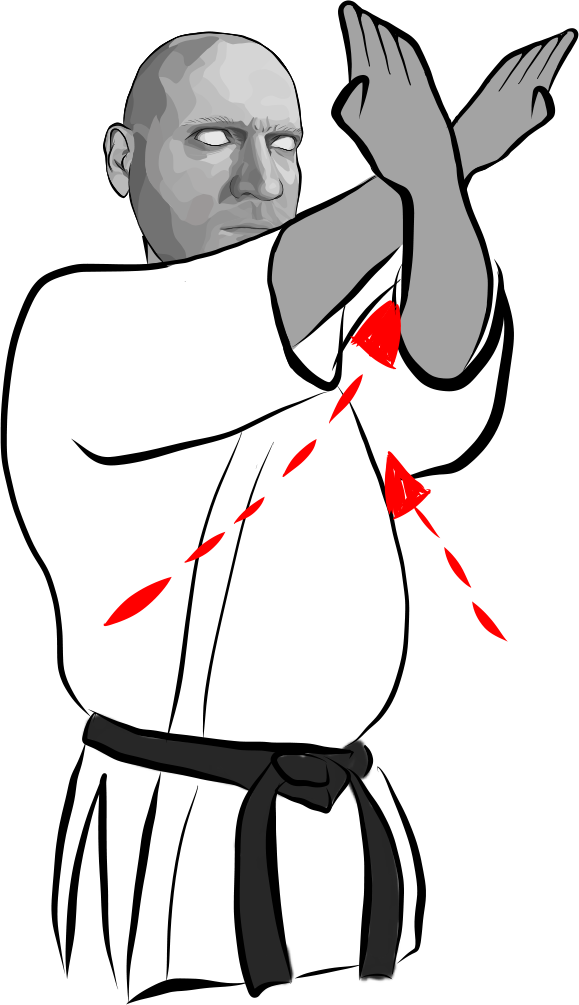 Kaishu-kosa uke (Open Hand Cross Block)